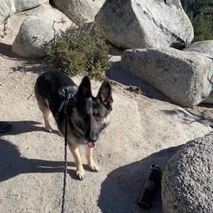 Meet your Posher, Diana